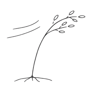 Picture of Adaptability